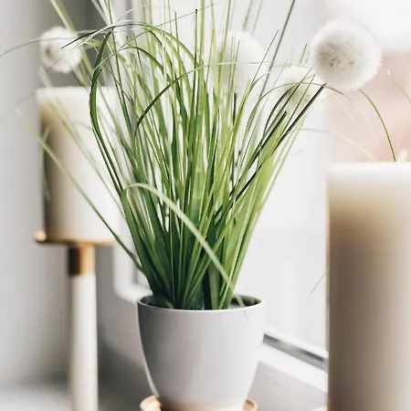 Schlummi Gemuetliche Zentrale & Saubere