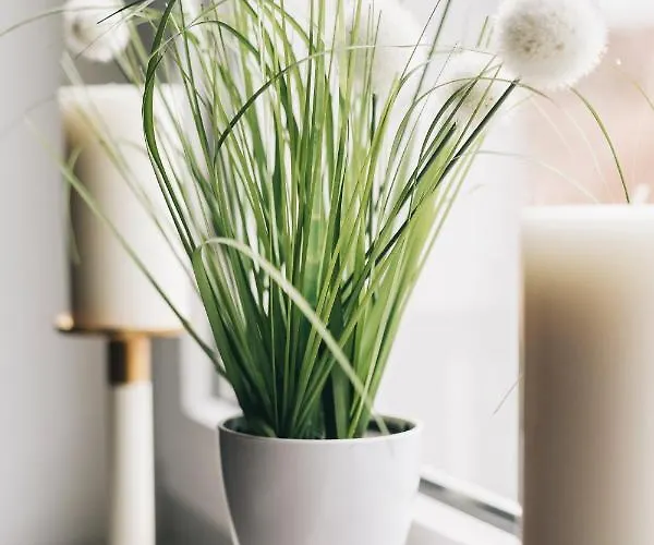 Schlummi Gemuetliche Zentrale & Saubere