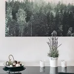 Schlummi Gemuetliche Zentrale & Saubere *